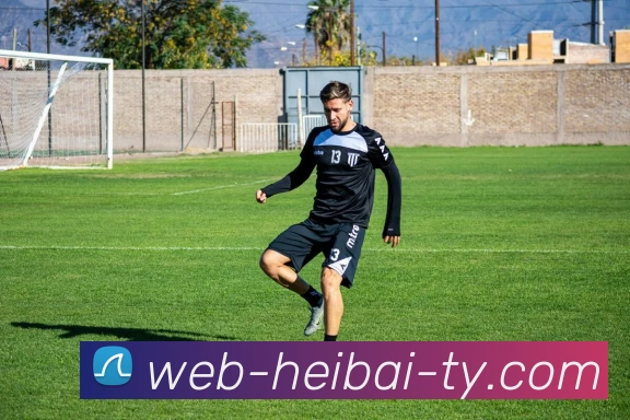 黑白体育平台生态图