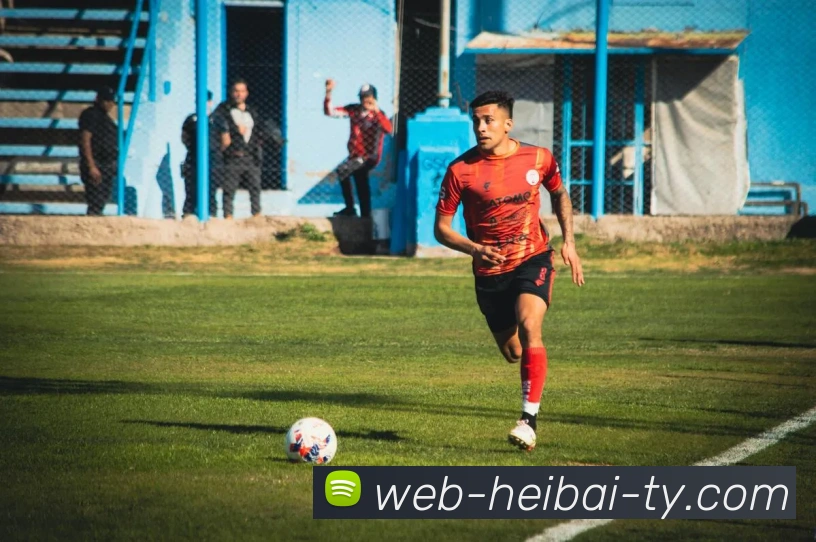 黑白体育APP 封面图