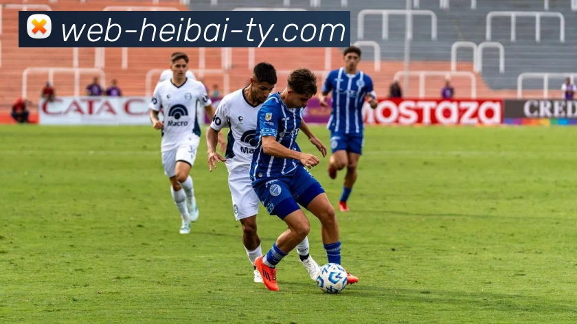 数据防护可视化